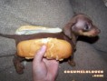 /album/galeria-de-fotos/ogaaagrpzx5bxeyhkzsdlahi-n8rrxo9j3-am6lvpdyhjxjwdl9wqxx0g0gfpz-ybjmoyrldimwlqbqcs-97yrpnuhaam1t1ucwxuzk1lrvtoia-pb4rwva9aon-jpg/