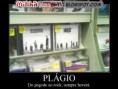 /album/galeria-de-fotos/plagio-jpg/